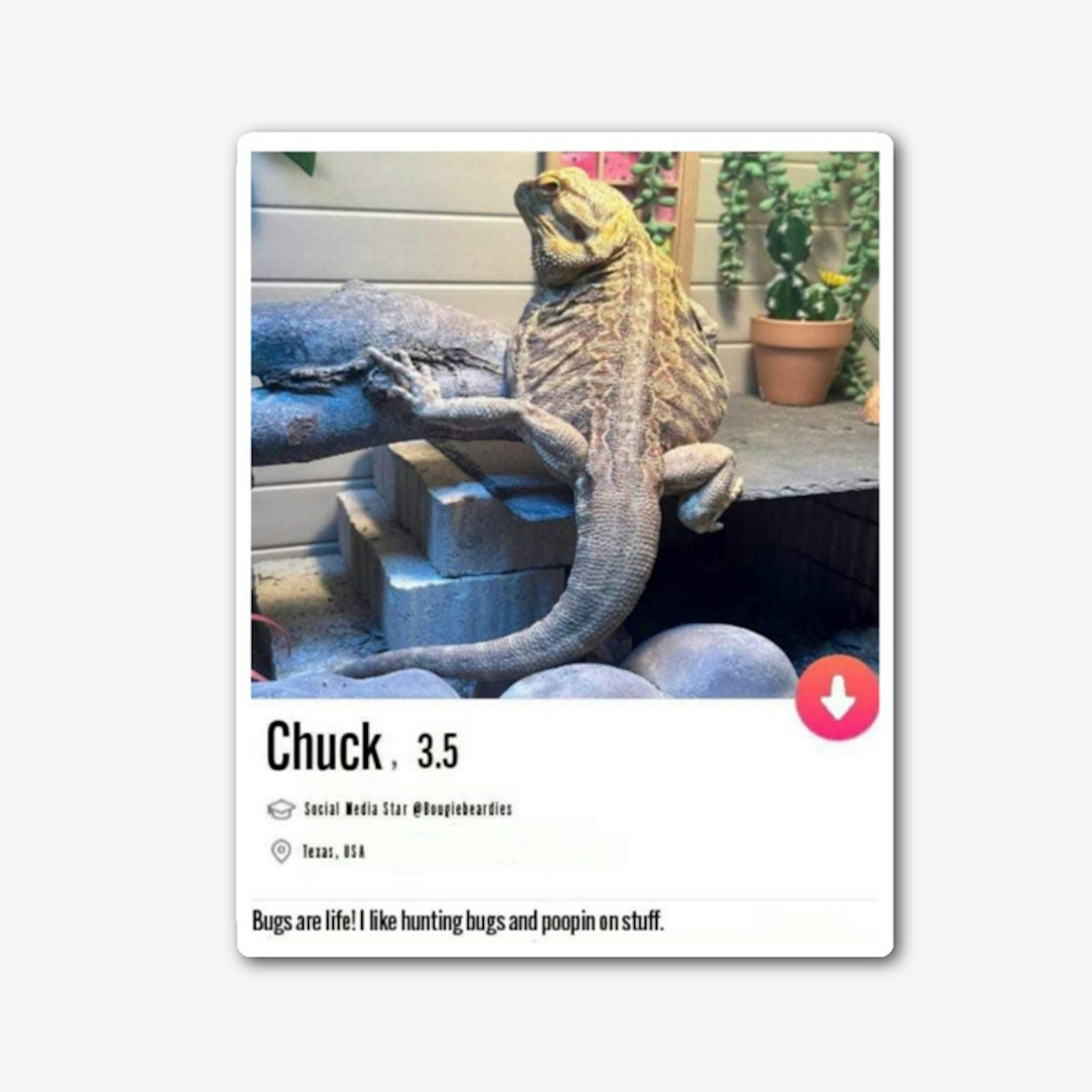 Chuck date